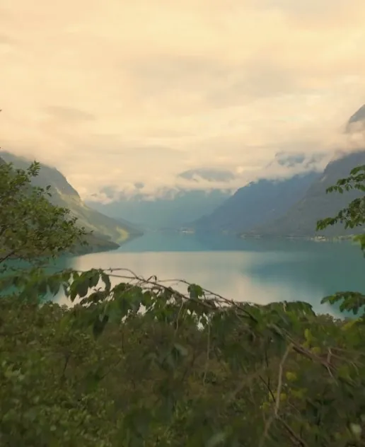 Turkis norsk fjord mellom tåkete fjell, sett gjennom trærne